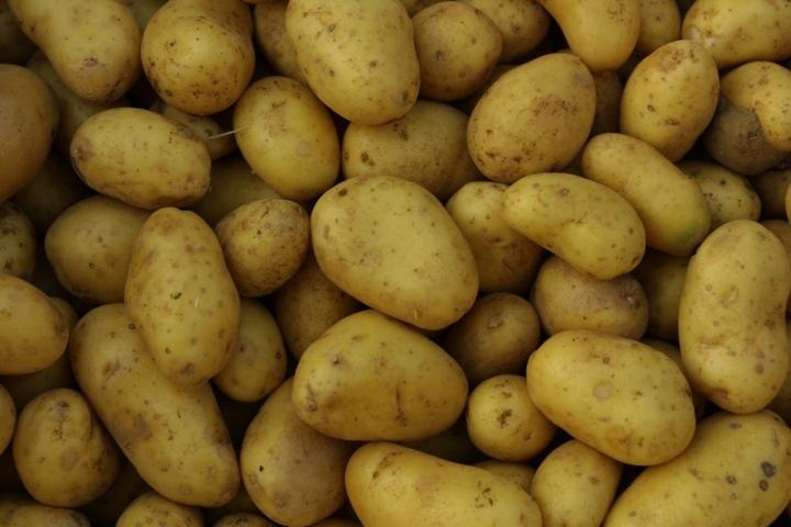 Starting Potato Farming Business In Zimbabwe and the Business Plan