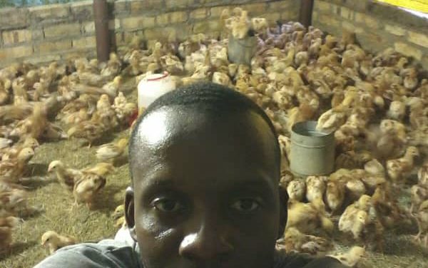 Interview with a young poultry farmer: Obrian Nyathi