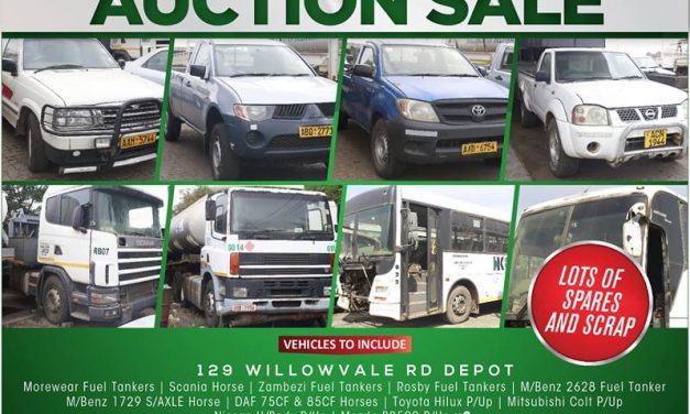 Lessons to learn from the collapse of Kukura Kurerwa Bus Services