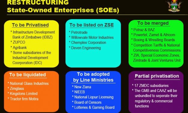 State Enterprises and Parastatals Reform Begins