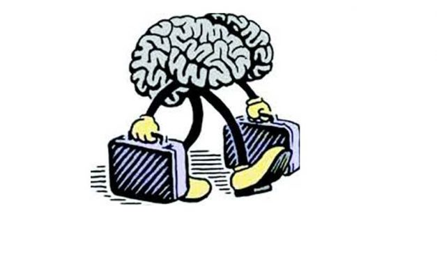 Zimbabwe professionals now the lowest paid in the region. Massive brain drain looming?