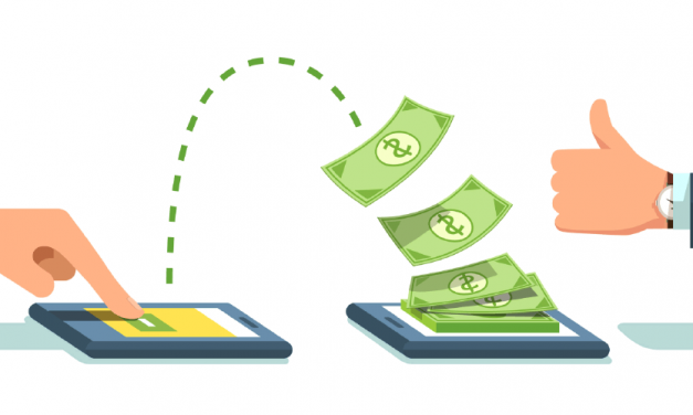 Common Business Models Used By Zimbabwean Businesses