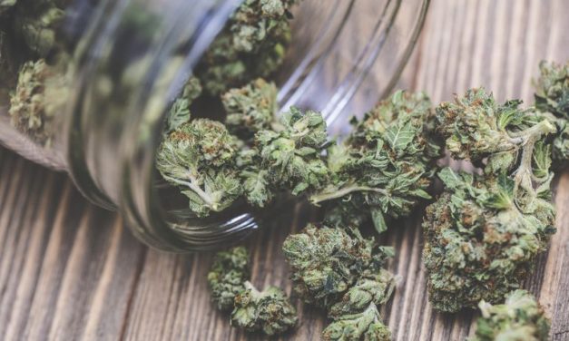 How other countries are making money from Cannabis/Mbanje