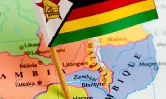 Zimbabwean companies creating a footprint beyond the borders