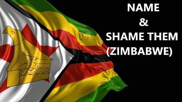 Name and Shame them Zimbabwe (Facebook Group)