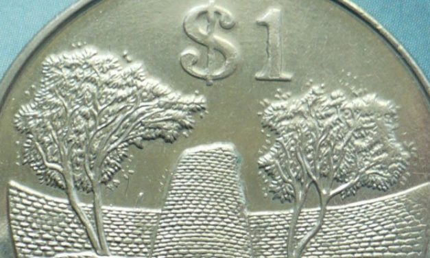 Zim Dollar to return in months