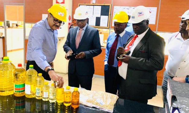 Olivine Industries, Surface Wilmar halt operations