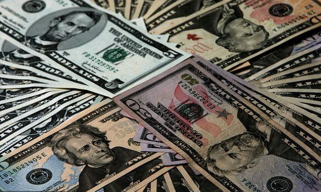 Foreign Currency Allocation Committee appointed