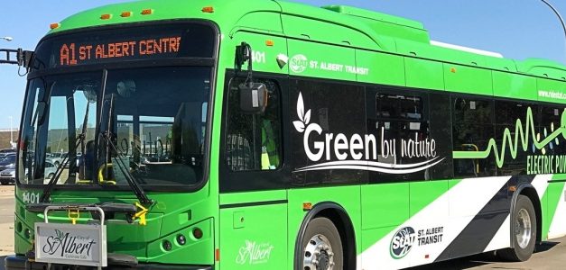 Go on leave to find a husband, no tax for start ups. All that and more…