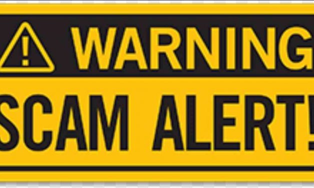 Real Life Examples Of Scams In Zimbabwe