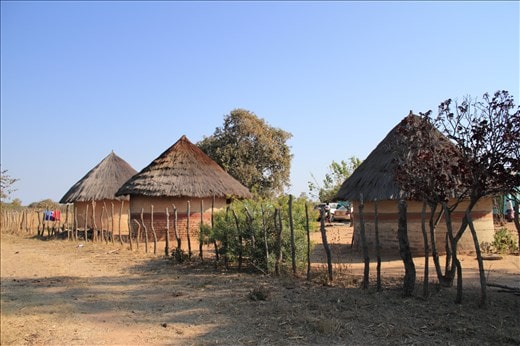 Top rural business opportunities in Zimbabwe