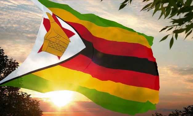Business tips for Zimbabweans investing from the diaspora