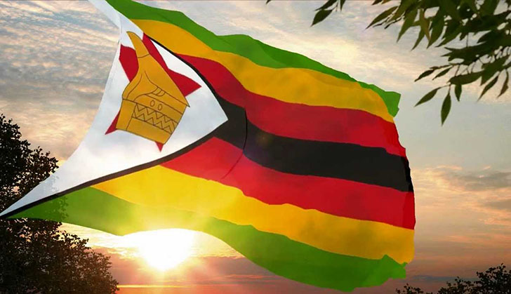 Business tips for Zimbabweans investing from the diaspora