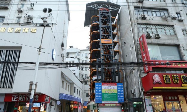 Fuel made from cactus juice, smart freeways, renewable energy and parking solutions