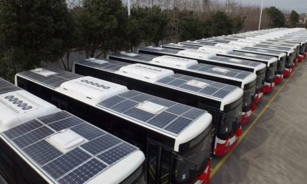 Solar powered buses for Harare