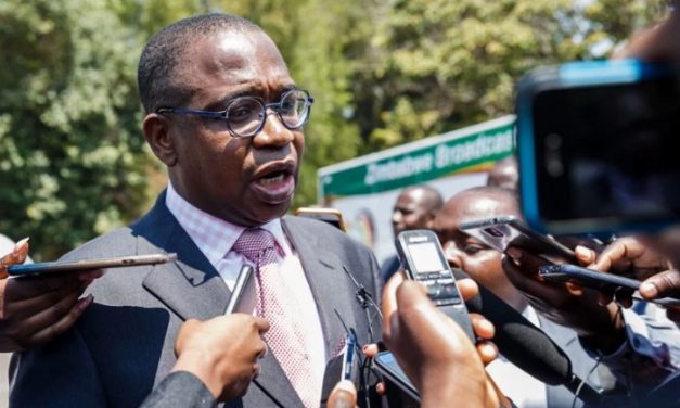Progress on policy reforms report by Minister Ncube