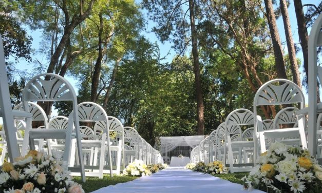 Starting A Wedding Venue Business In Zimbabwe