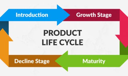 Understanding The Product Life Cycle & What It Means For Your Business