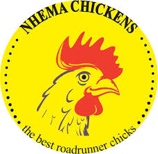 Nhema Chickens Profile