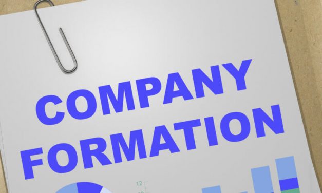 Why is a company the preferred business structure?