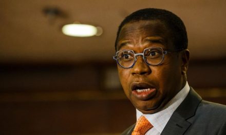 Austerity to go on until 2020: Ncube