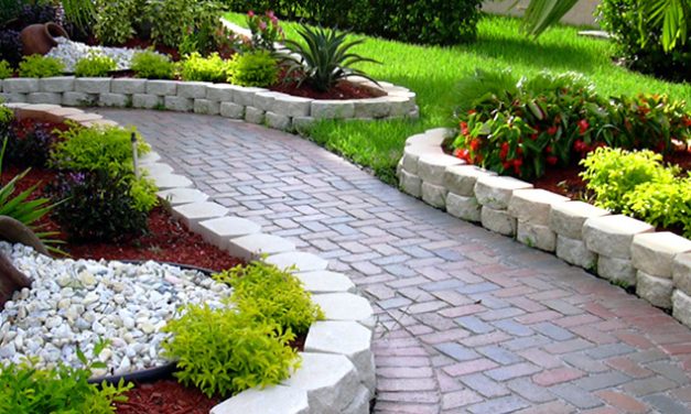 Tips for starting a landscaping business in Zimbabwe.
