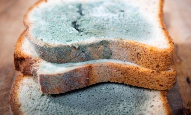 “Chaora chinhu ichi”: Zimbabweans fume as rate exceeds 1:6