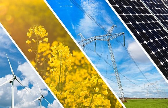 Business Ideas Aimed At Combating Energy Shortages In Zimbabwe