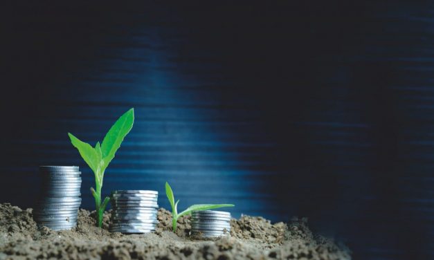 9 Viable Investment Opportunities In Zimbabwe