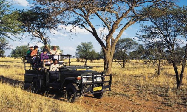 Local Township Tourism Business Ideas