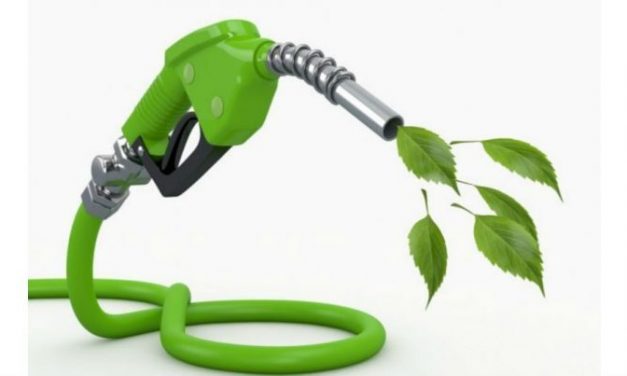 Mandatory Ethanol Blending Ratio Up