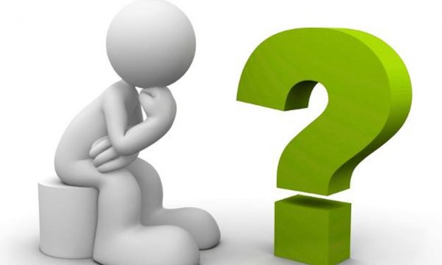 5 questions the Zimbabwean dollar must answer.