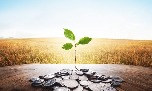Understanding Trade Finance for small businesses