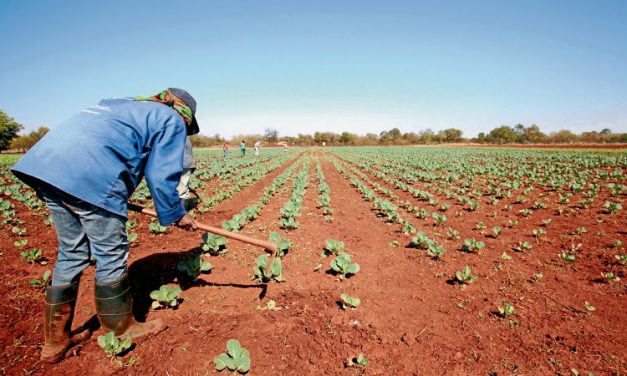 Government Now Allowing Farm Subletting
