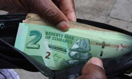 Zim Dollar notes coming: Ncube tells Bloomberg