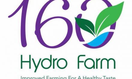 160 Hydro Farm – Hydroponic farming start up