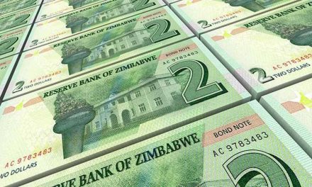 The Reserve Bank Of Zimbabwe’s Plans To Avert The Cash Crisis