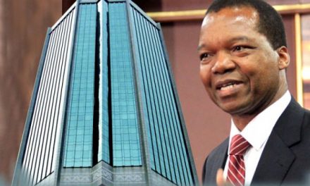 RBZ tenders more Treasury Bills for “Government Projects”