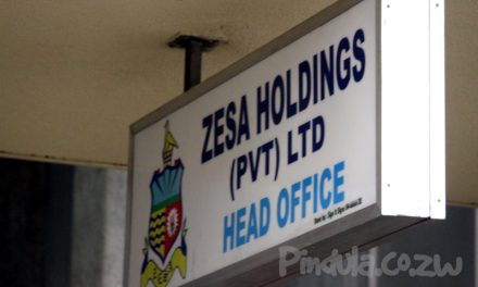 ZESA Rationalizes Its Move To Review Tariffs Monthly
