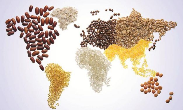 Individuals, companies free to import food: Cabinet
