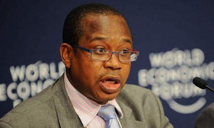 Parastatals to be ranked and heads to roll: Mthuli Ncube
