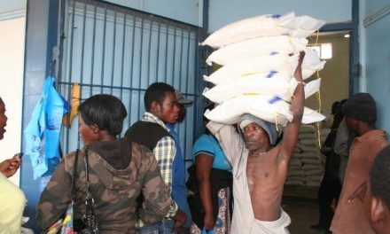 Government to unveil roller meal coupon system as subsidy fails