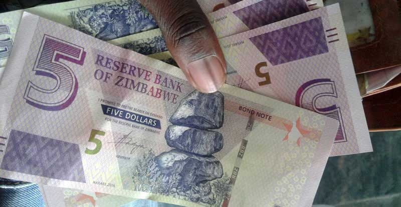 Zimbabwean dollar a year later