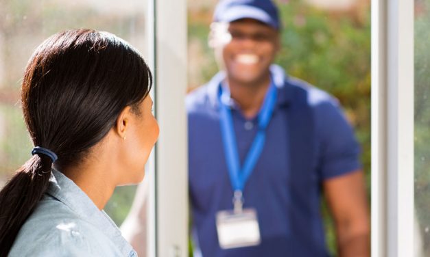 Are armies of salespeople a viable alternative to storefronts?