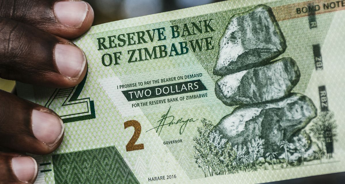 Zim dollar strengthens, what’s going on?