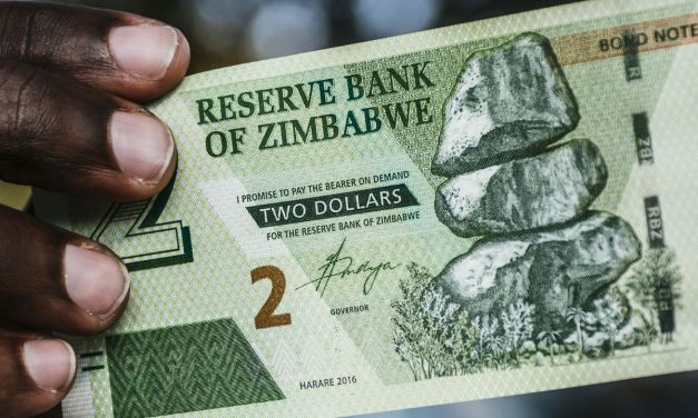 Zim dollar strengthens, what’s going on?