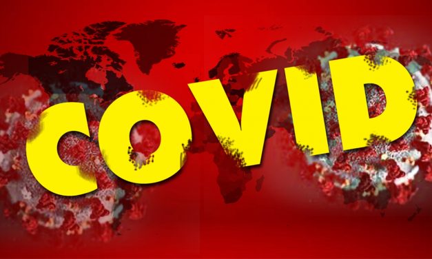 Businesses which can help in the fight against COVID-19