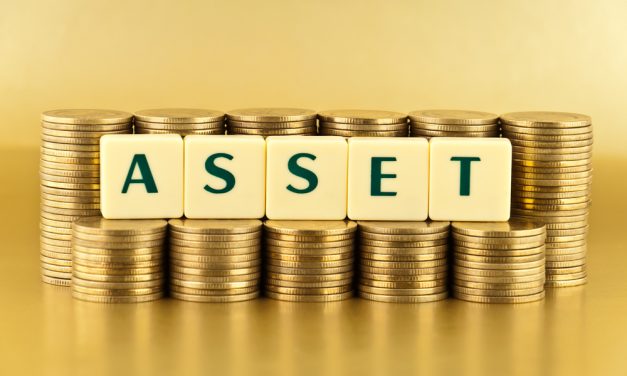 Assets wealthy Zimbabweans choose