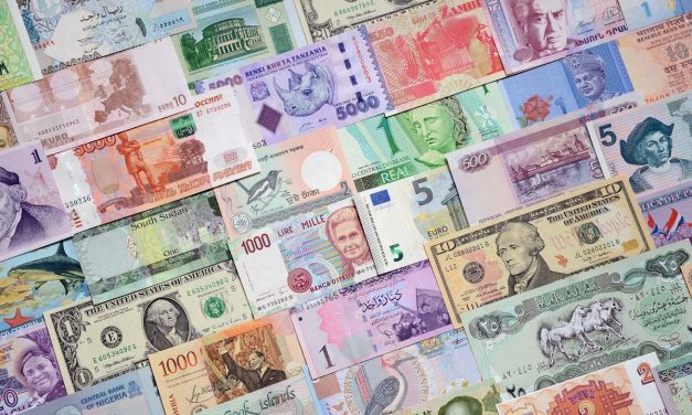 Back to basics: How virtually every business earns the country foreign currency
