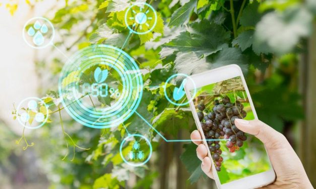 4 interesting agricultural technologies we need in Zimbabwe